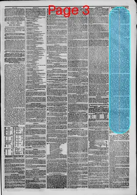 Page thumbnail for The New York Herald