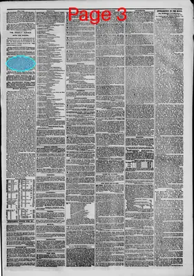 Page thumbnail for The New York Herald