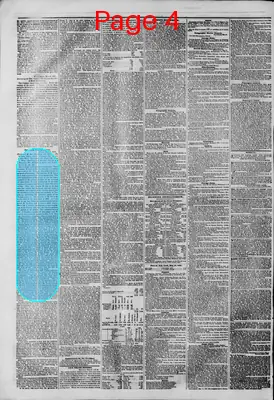 Page thumbnail for The New York Herald