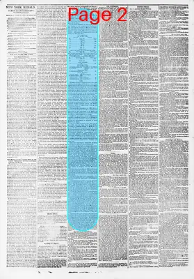 Page thumbnail for The New York Herald