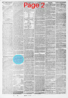 Page thumbnail for The New York Herald