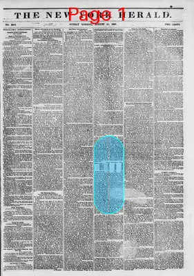 Page thumbnail for The New York Herald