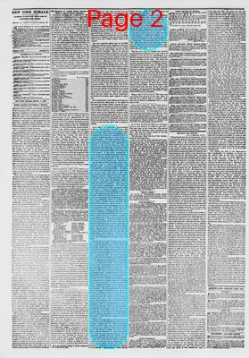 Page thumbnail for The New York Herald