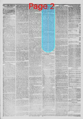 Page thumbnail for The New York Herald