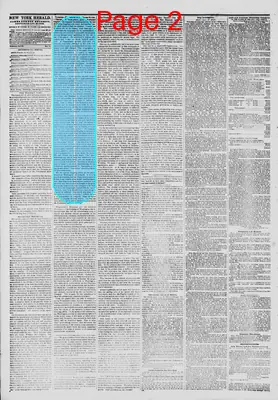 Page thumbnail for The New York Herald