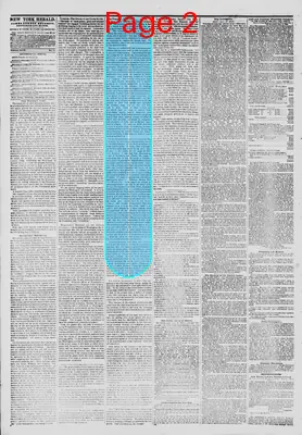 Page thumbnail for The New York Herald