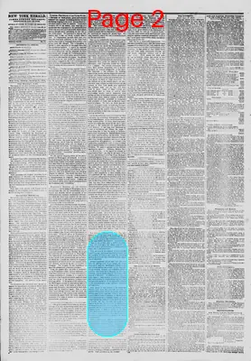 Page thumbnail for The New York Herald