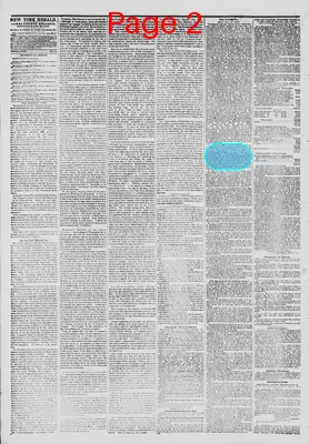 Page thumbnail for The New York Herald