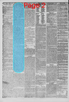 Page thumbnail for The New York Herald