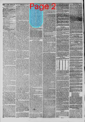 Page thumbnail for The New York Herald