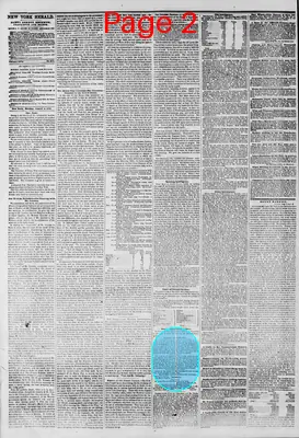 Page thumbnail for The New York Herald