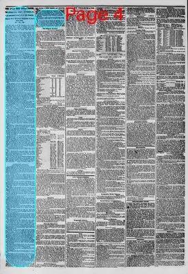 Page thumbnail for The New York Herald