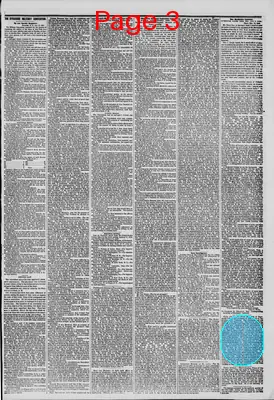 Page thumbnail for The New York Herald