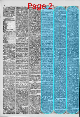 Page thumbnail for The New York Herald