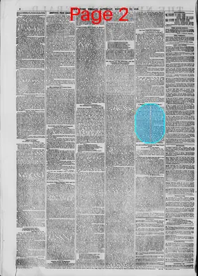 Page thumbnail for The New York Herald