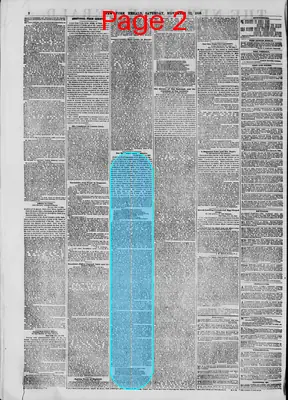 Page thumbnail for The New York Herald
