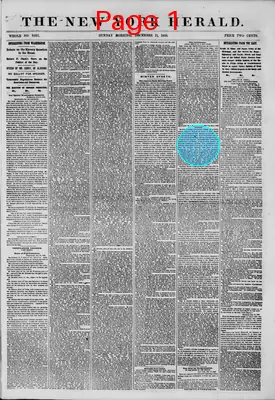 Page thumbnail for The New York Herald
