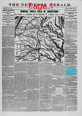 Page thumbnail for The New York Herald