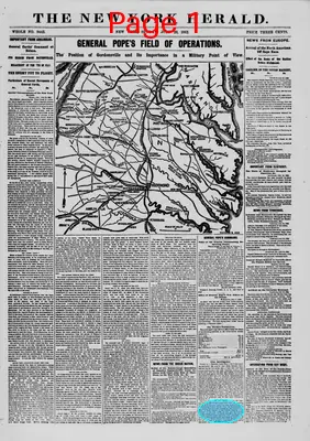 Page thumbnail for The New York Herald