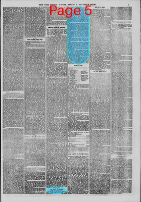 Page thumbnail for The New York Herald