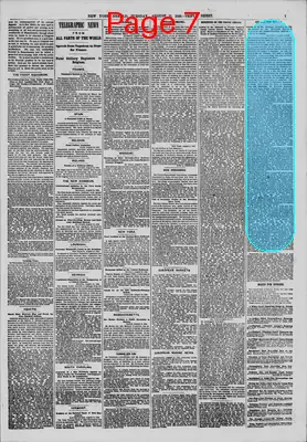 Page thumbnail for The New York Herald