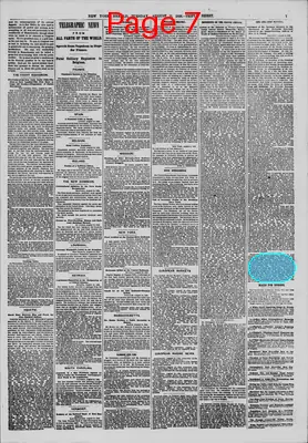 Page thumbnail for The New York Herald