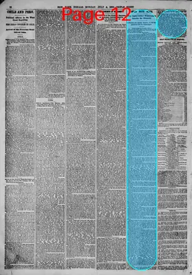 Page thumbnail for The New York Herald