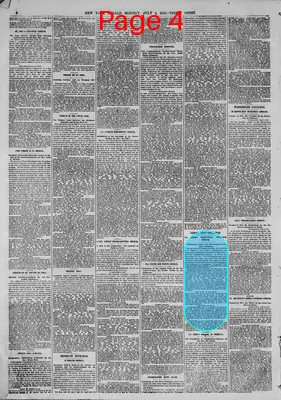 Page thumbnail for The New York Herald