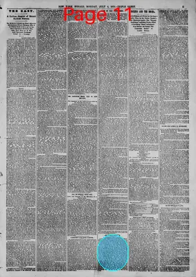 Page thumbnail for The New York Herald