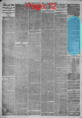 Page thumbnail for The New York Herald