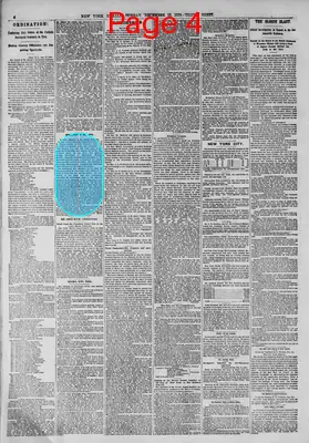 Page thumbnail for The New York Herald