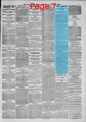 Page thumbnail for The New York Herald