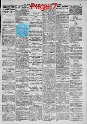 Page thumbnail for The New York Herald