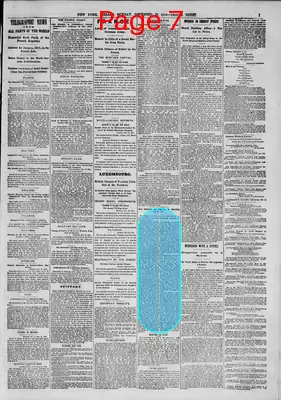 Page thumbnail for The New York Herald