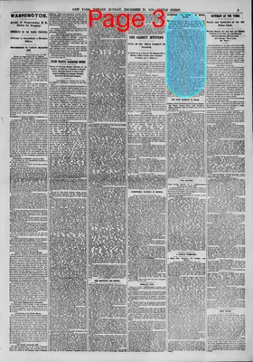 Page thumbnail for The New York Herald