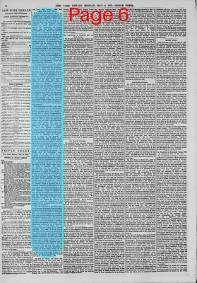 Page thumbnail for The New York Herald