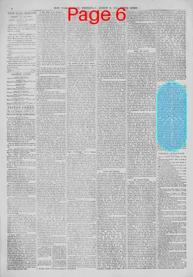 Page thumbnail for The New York Herald