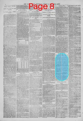 Page thumbnail for The New York Herald