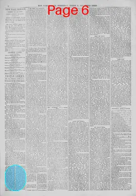 Page thumbnail for The New York Herald