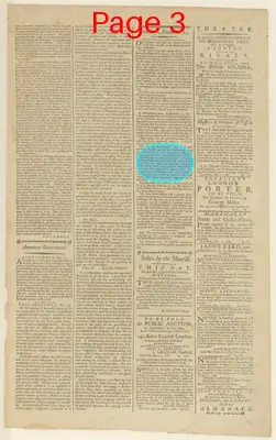 Page thumbnail for The New York Journal, And Daily Patriotic Register