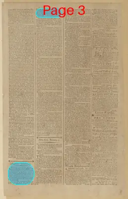 Page thumbnail for The New York Journal, And Daily Patriotic Register