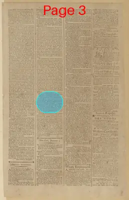Page thumbnail for The New York Journal, And Daily Patriotic Register