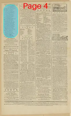Page thumbnail for The New York Journal, And Daily Patriotic Register
