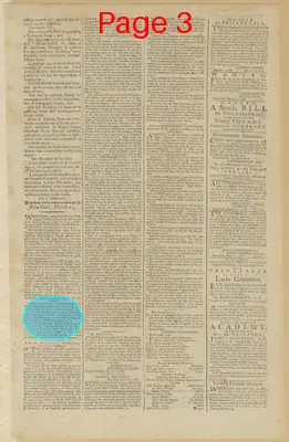 Page thumbnail for The New York Journal, And Daily Patriotic Register