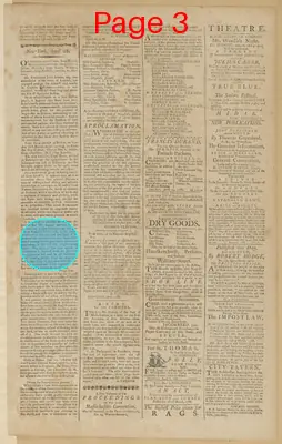 Page thumbnail for The New York Journal, And Daily Patriotic Register