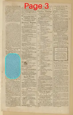 Page thumbnail for The New York Journal, And Daily Patriotic Register
