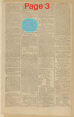 Page thumbnail for The New York Journal, And Daily Patriotic Register