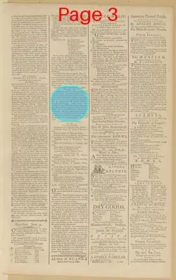 Page thumbnail for The New York Journal, And Daily Patriotic Register