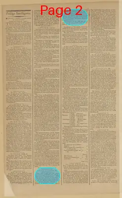 Page thumbnail for The New York Journal, And Daily Patriotic Register