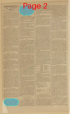 Page thumbnail for The New York Journal, And Daily Patriotic Register